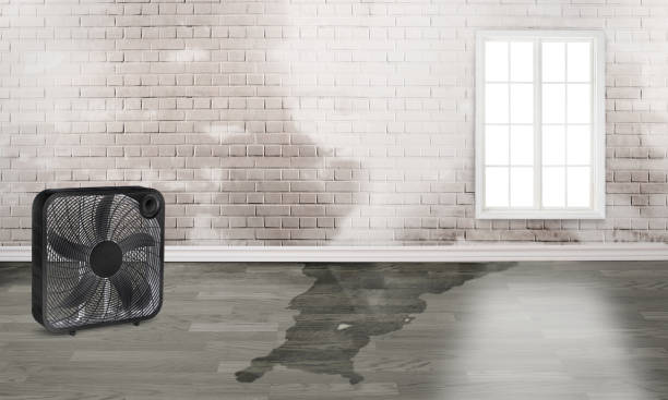 Best Emergency water damage restoration  in Labarque Creek, MO