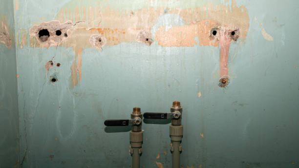 Best Water damage restoration services  in Labarque Creek, MO