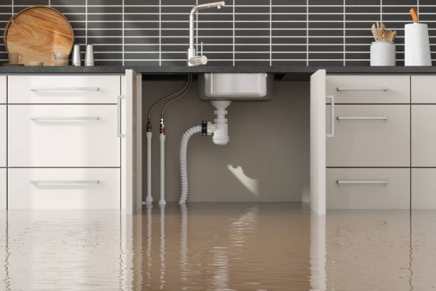 Best Flood damage cleanup  in Labarque Creek, MO